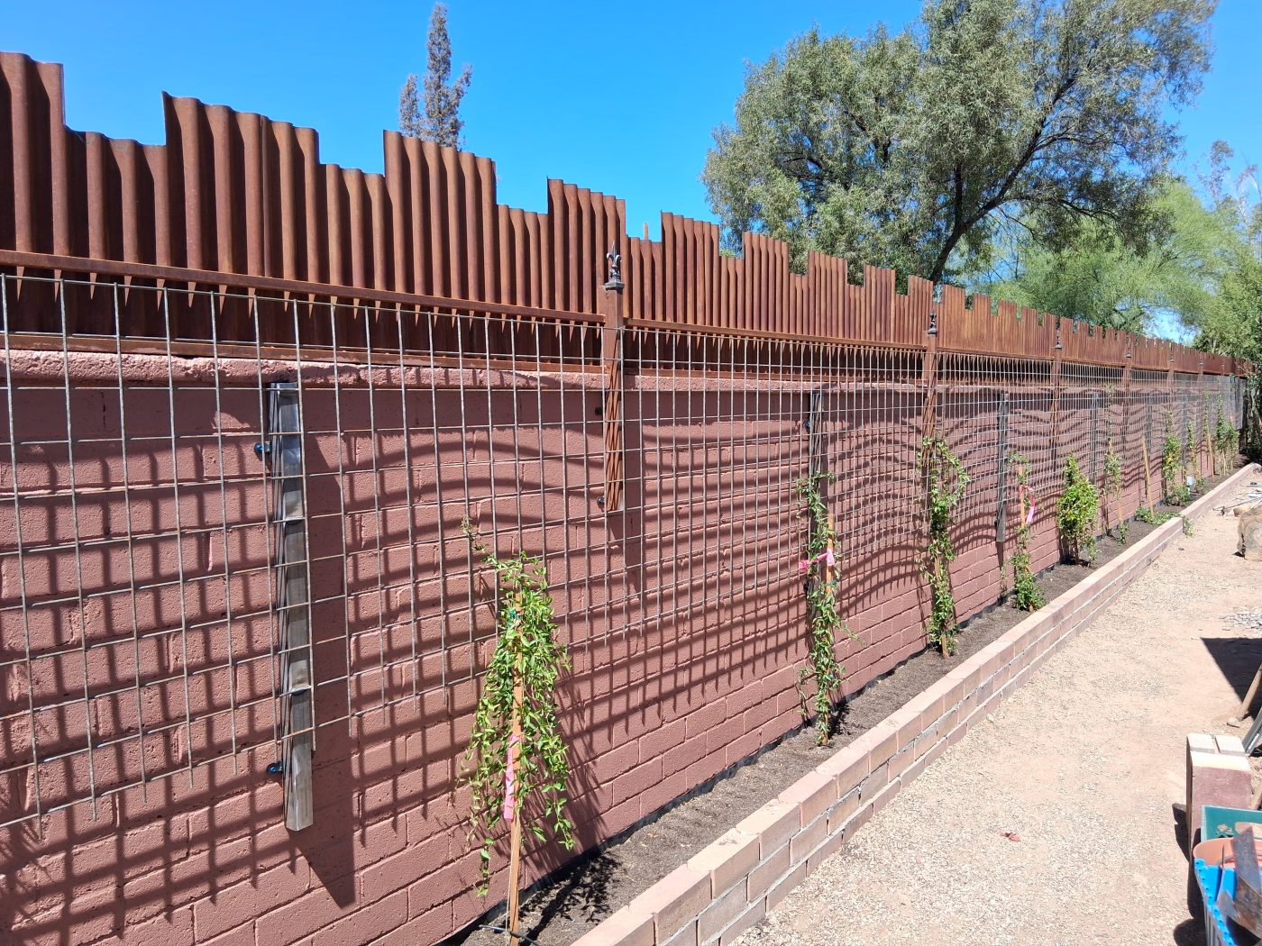 Ocotillo rod privacy fence in Tucson — Emery Welding & Ironwork