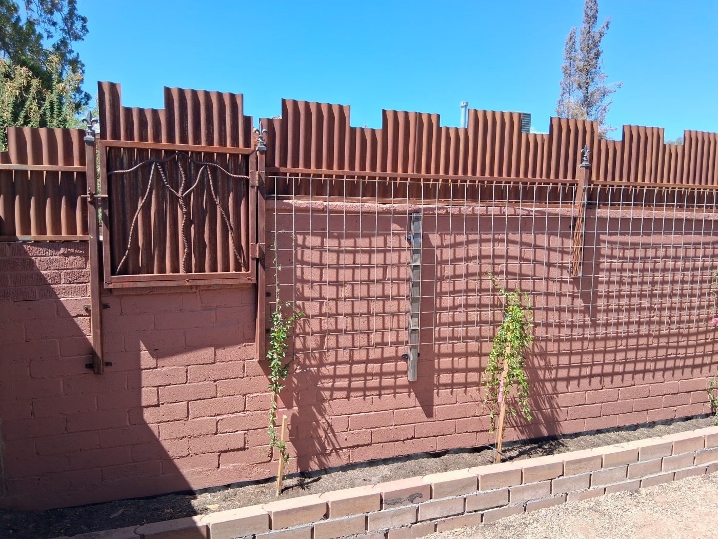 Ocotillo steel rod fence with vines — Emery Welding & Ironwork