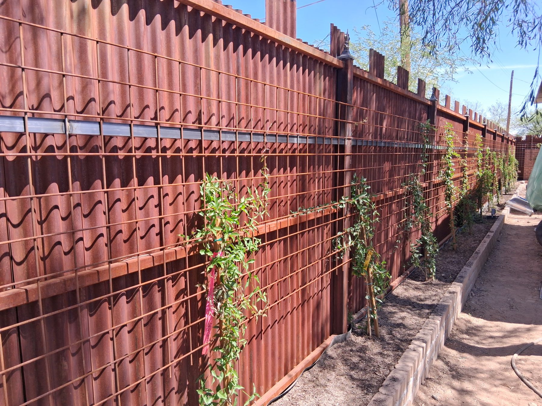 Ocotillo style steel rod art fence in Tucson — Emery Welding & Ironwork